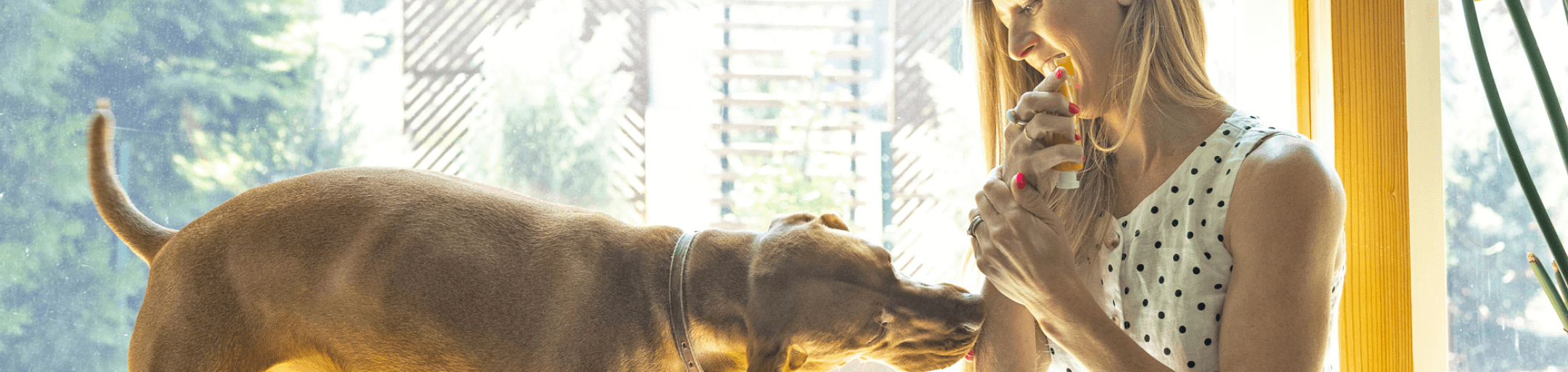 Up With Goldie customer-support banner